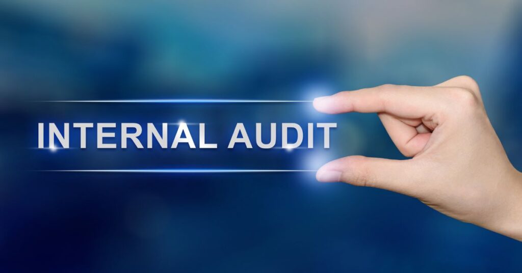 The Importance of NDIS Internal Audit for Service Providers | Lofa Consulting